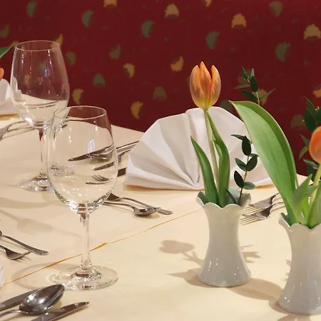 Krone Hotel 3*
